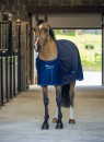 Bucas Power Cooler Pony