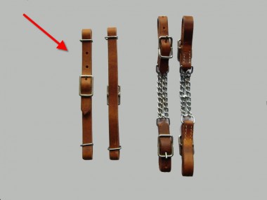 EE Tack - Kinnriemen - Harness 