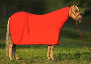 Big-D POLAR FLEECE COOLER mit Halsteil