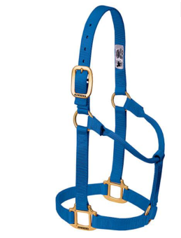 Weaver Halfter - BLUE, Non Adjustable 