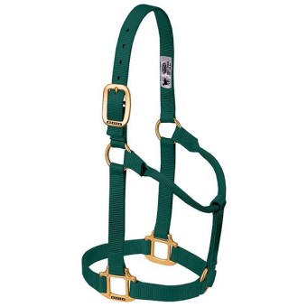 Weaver Halfter - HUNTER GREEN, Non Adjustable 