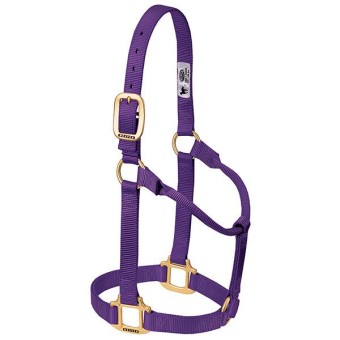 Weaver Halfter - PURPLE, Non Adjustable 