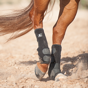 Classic Equine - Legacy Boots - Tall Hind