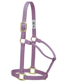 Weaver Halfter - LAVENDER, Non Adjustable 