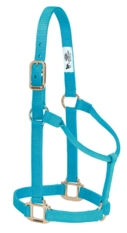 Weaver Halfter - HURRICANE BLUE, Non Adjustable 
