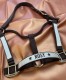 morepic-1