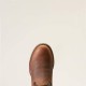 morepic-6